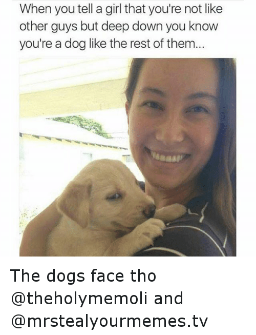 Instagram-The-dogs-face-tho-theholymemoli-and-4103d4.png