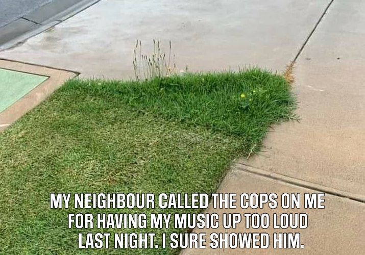 neighbour-cops.jpg