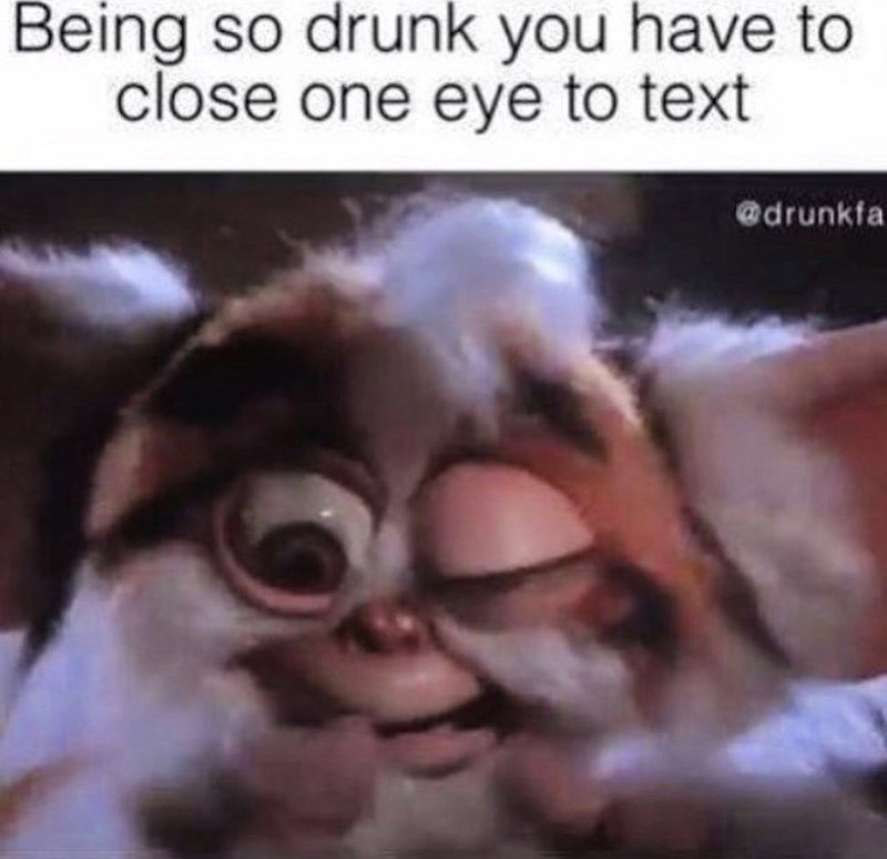 reads-being-so-drunk-you-have-to-close-one-eye-to-text-above-a-pic-of-a-furby-with-one-eye-closed.jpeg