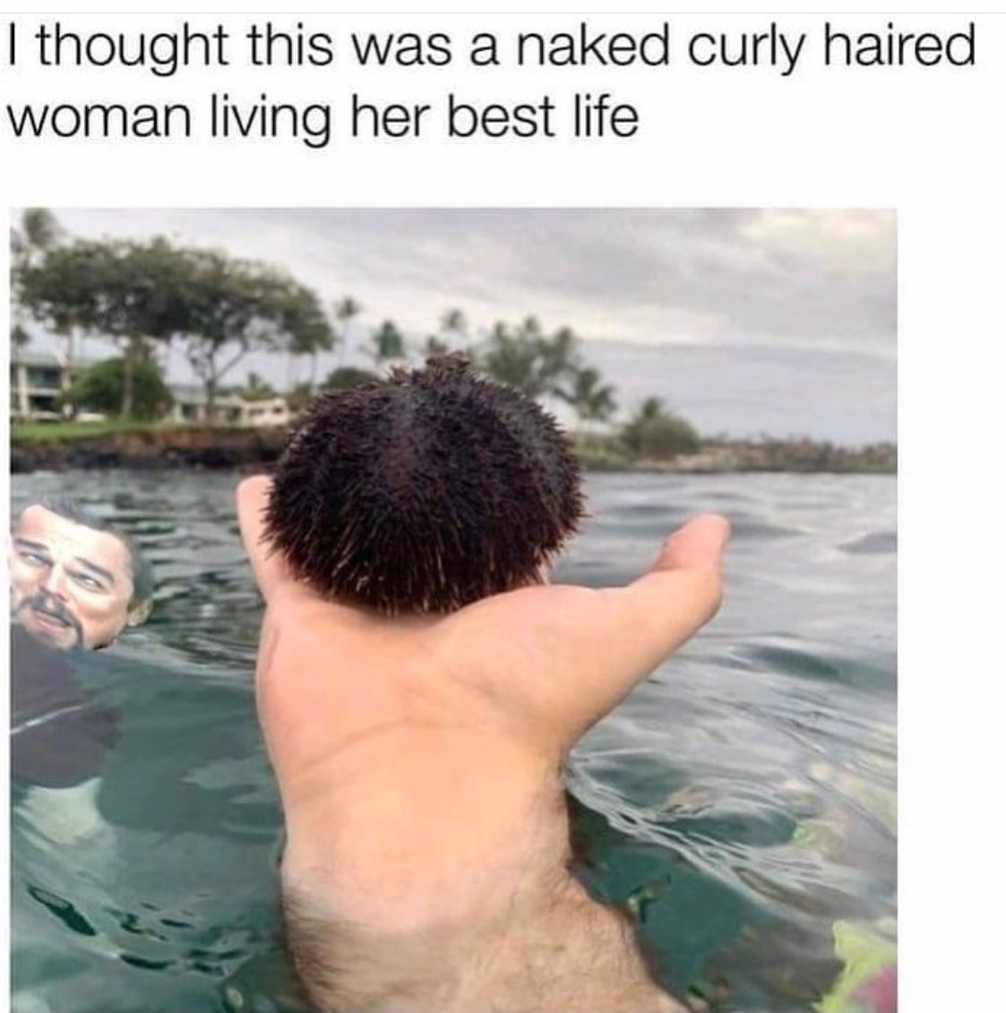 39E6B87D-0488-40D4-8C93-FA02E23C895B.jpeg