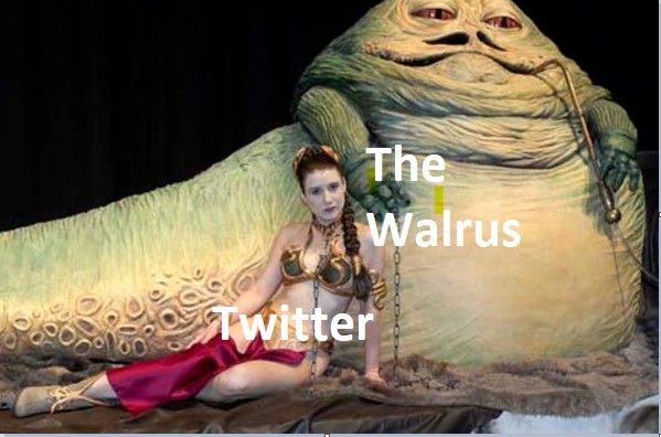 walrus1.jpg