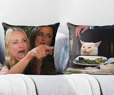 https://www.forum.thesilverfern.com/assets/uploads/files/1687241302767-woman-yelling-at-cat-meme-throw-pillows_400x333.jpg