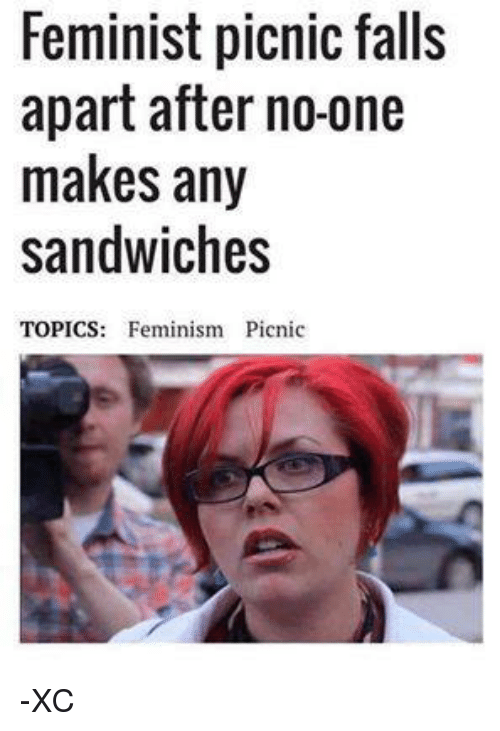 0_1489473656841_feminist-picnic-falls-apart-after-no-one-makes-any-sandwiches-topics-4395316.png